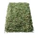Gyógyfű Zsurlófű 50 g