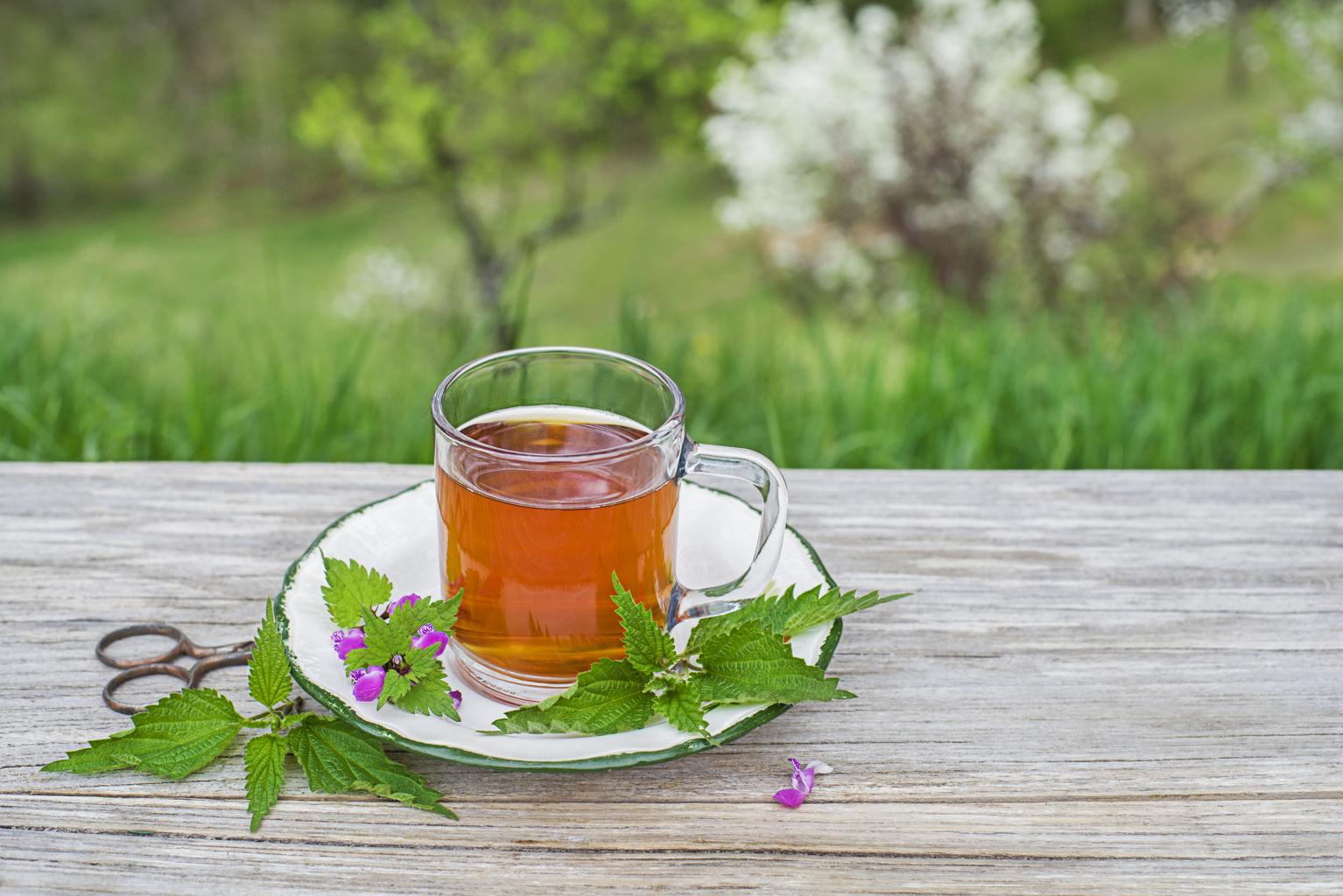 Mire jó a csalán tea? – Hatások, előnyök és fogyasztása 